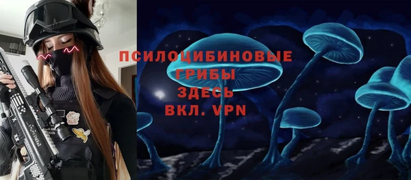 прущая мука Медвежьегорск